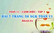 Bài 7 trang 56 SGK Toán 11 tập 1 Cánh Diều